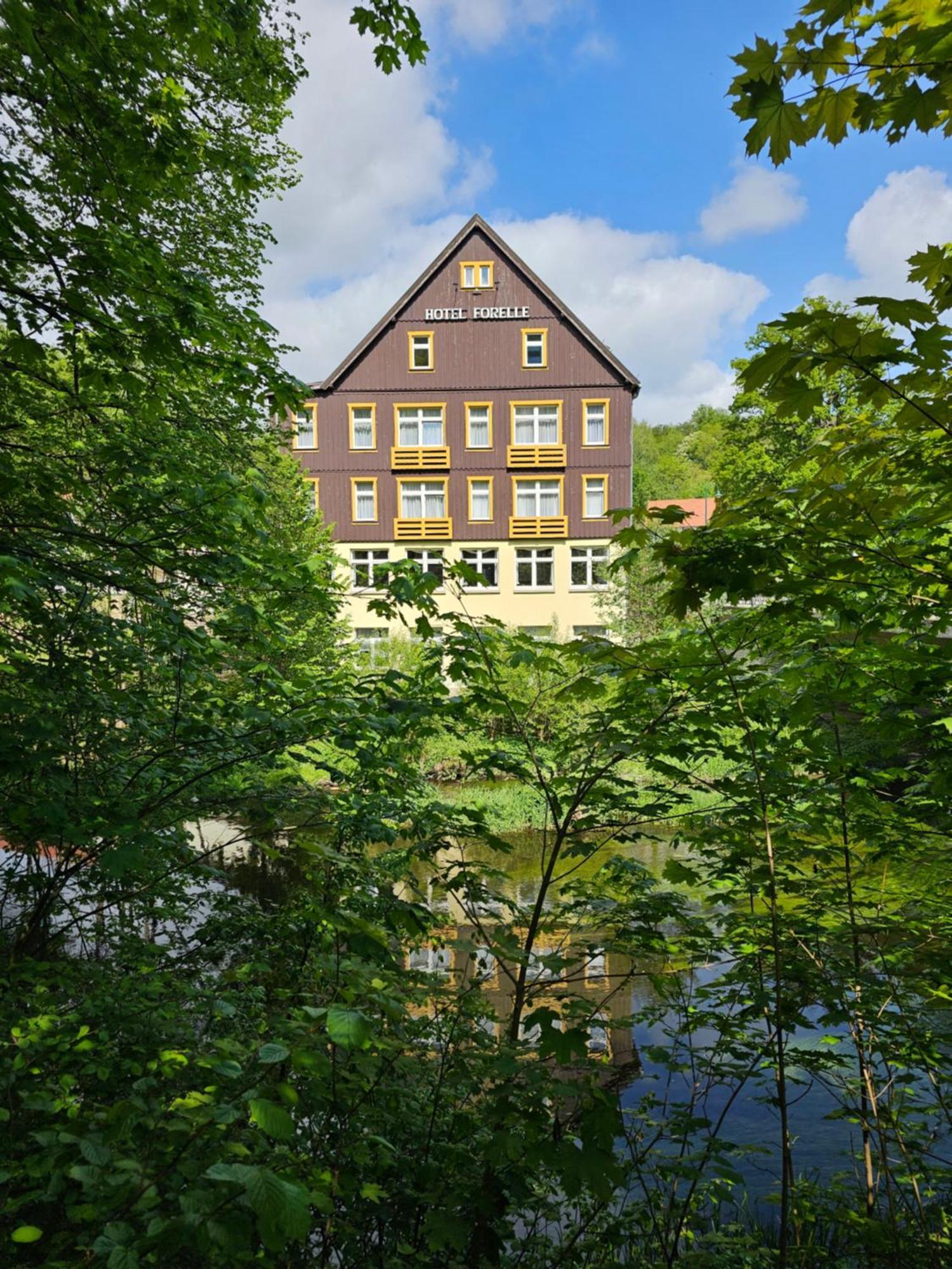 Greenline Ferienhotel Forelle Thale Exteriér fotografie